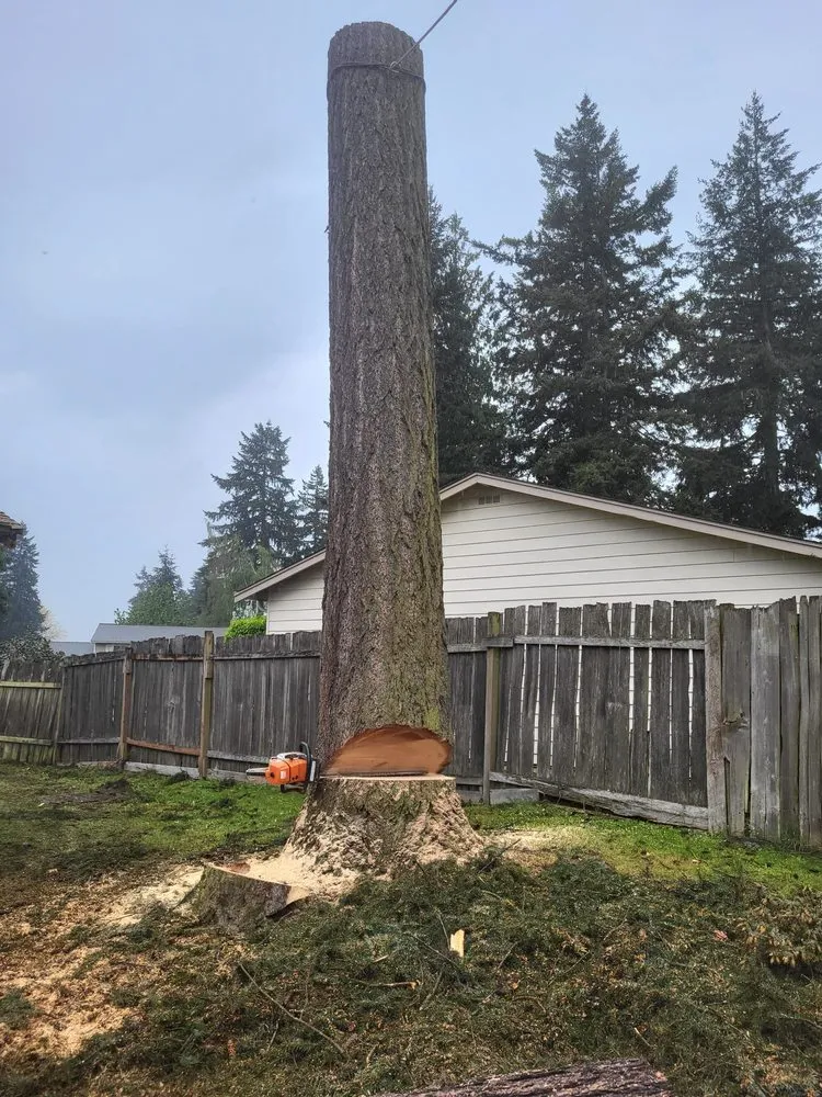 Professional landscape installation experts serving lakewood, WA - Saen Tree Removal Services