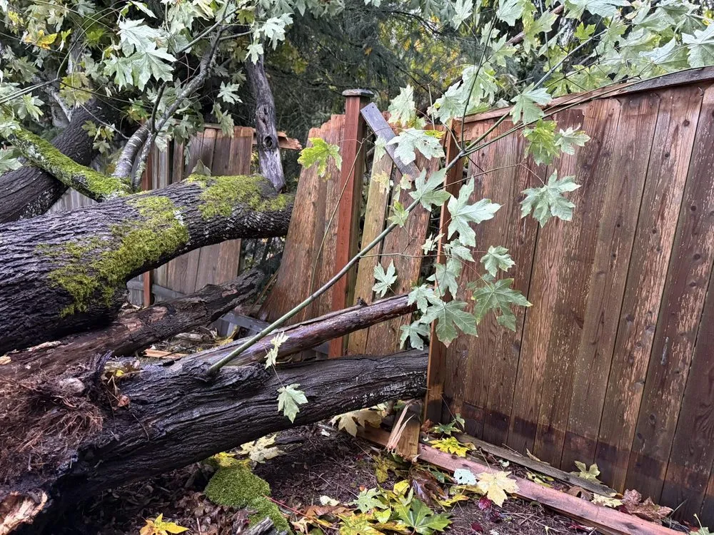 Local garden landscaping near you in lakewood, WA by Saen Tree Removal Services