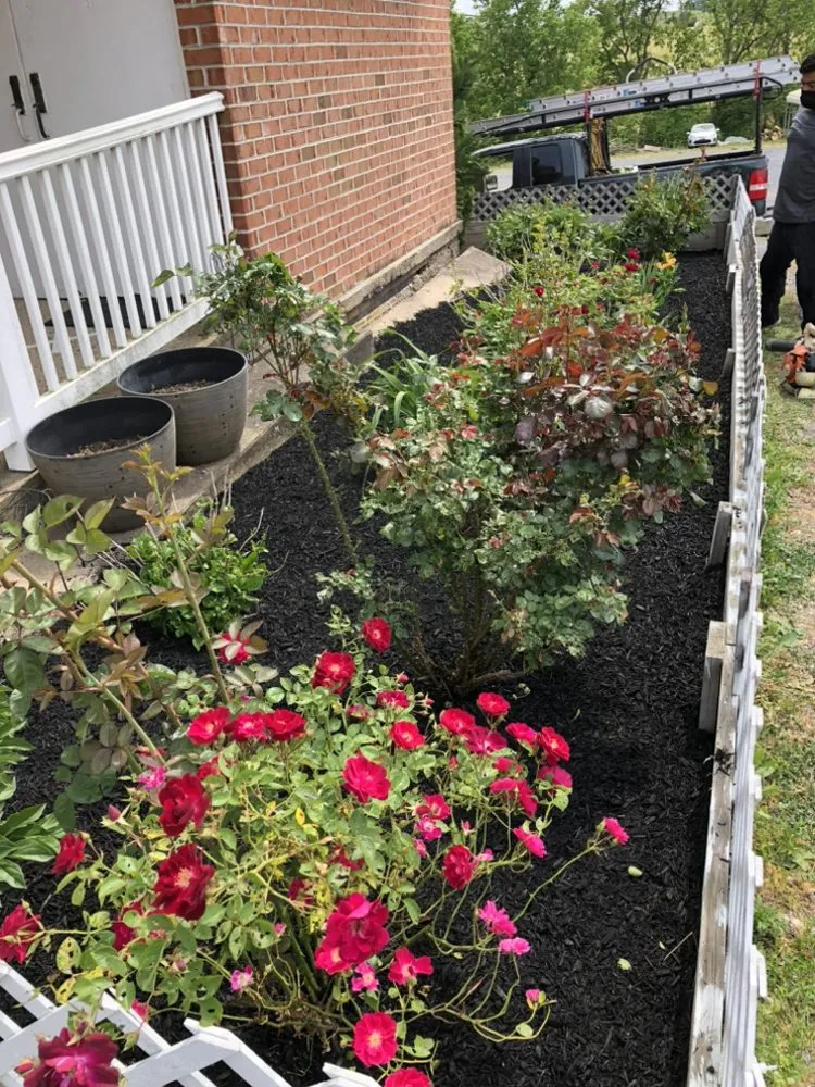 Local outdoor landscaping experts serving Harrisonburg, VA - Saenz Landscaping