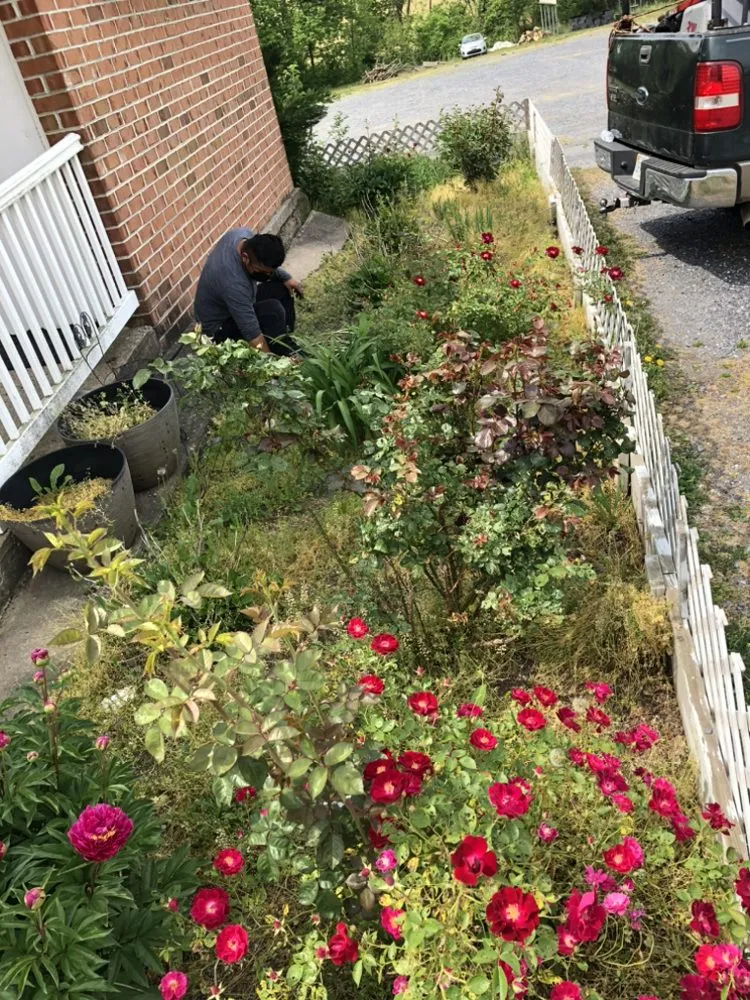 Custom outdoor landscaping for residential properties across Harrisonburg, VA - Saenz Landscaping