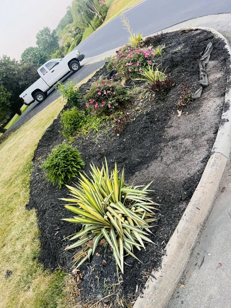 Trusted yard maintenance experts serving Harrisonburg, VA - Saenz Landscaping