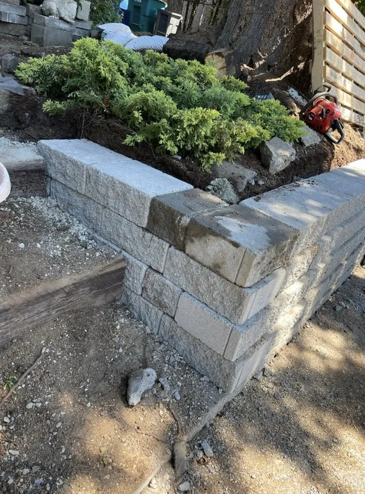 Expert yard cleanup service in Vancouver, WA - Saenz Yard Service