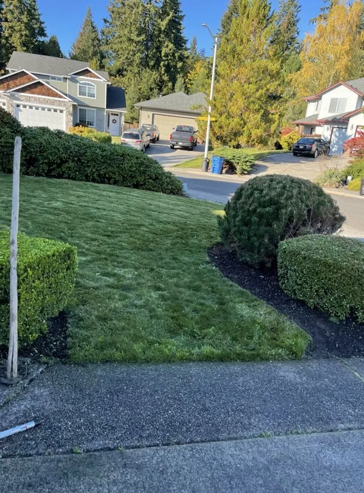 Affordable yard cleanup service in Vancouver, WA - Saenz Yard Service