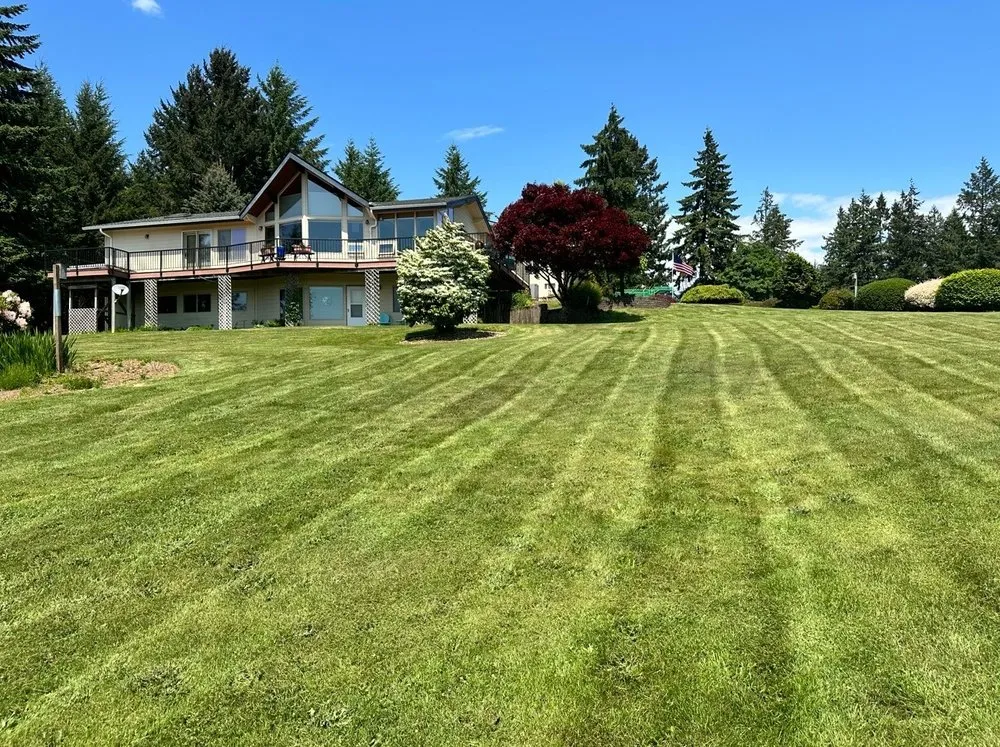 Reliable yard maintenance in Vancouver, WA - Saenz Yard Service