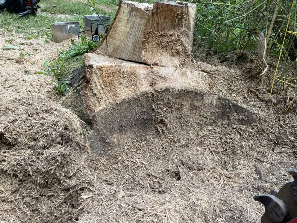 Trusted outdoor landscaping in Decatur, GA - Saez Lawn Maintenance