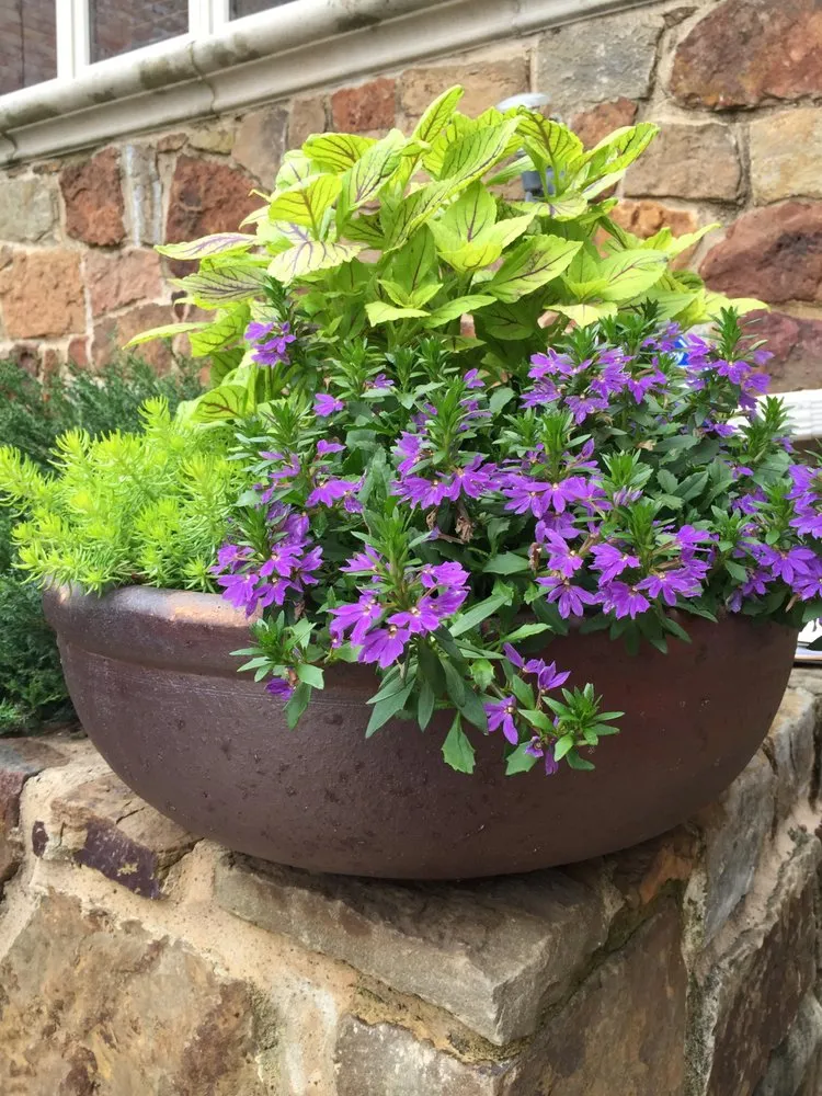 Custom lawn care service in Trophy Club, TX by Safari Landscape