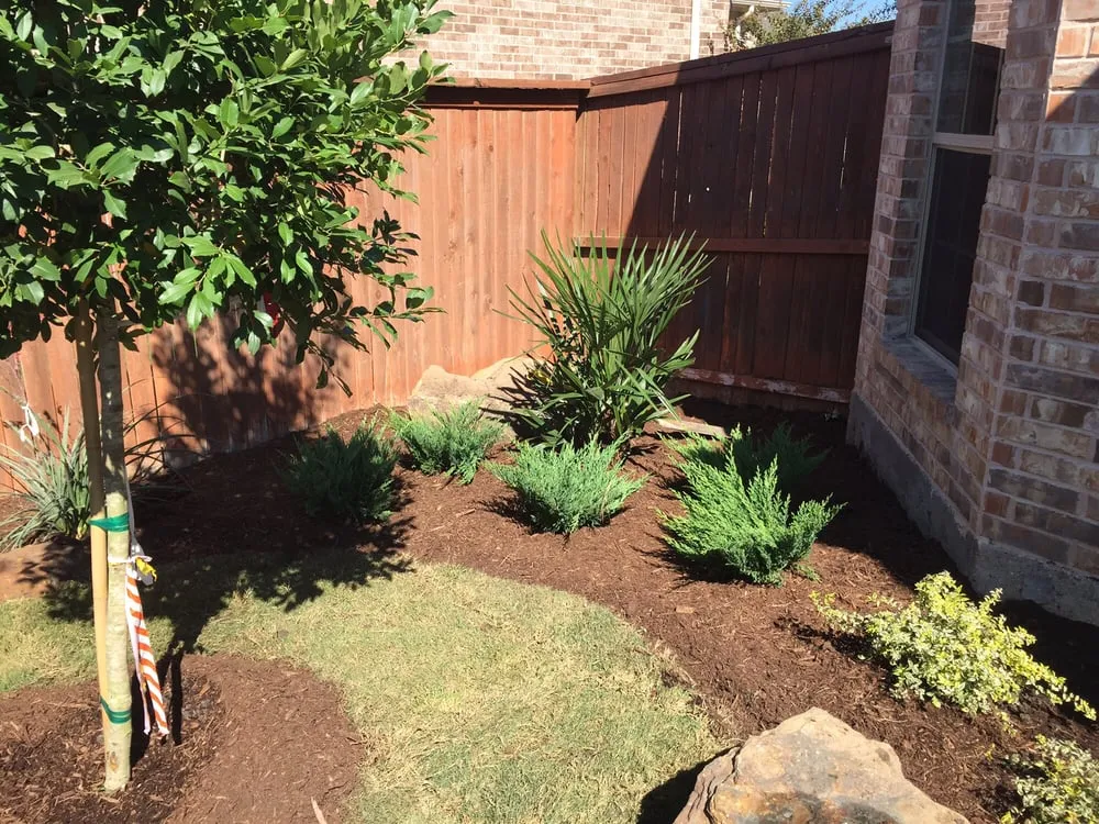 Reliable lawn care service near you across Trophy Club, TX - Safari Landscape