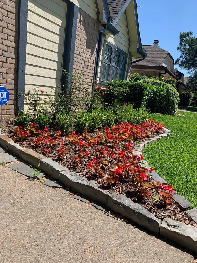 Reliable outdoor landscaping with custom design across Houston, TX - Safari Landscapes