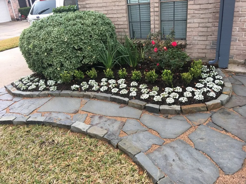 Top-rated yard cleanup service in Houston, TX - Safari Landscapes