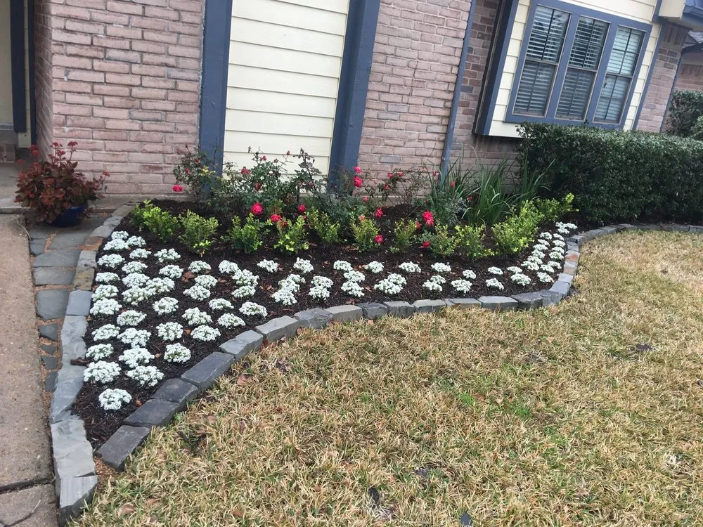 Expert residential landscaping in Houston, TX by Safari Landscapes