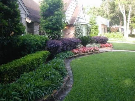 Affordable yard maintenance near you in Houston, TX by Safari Landscapes