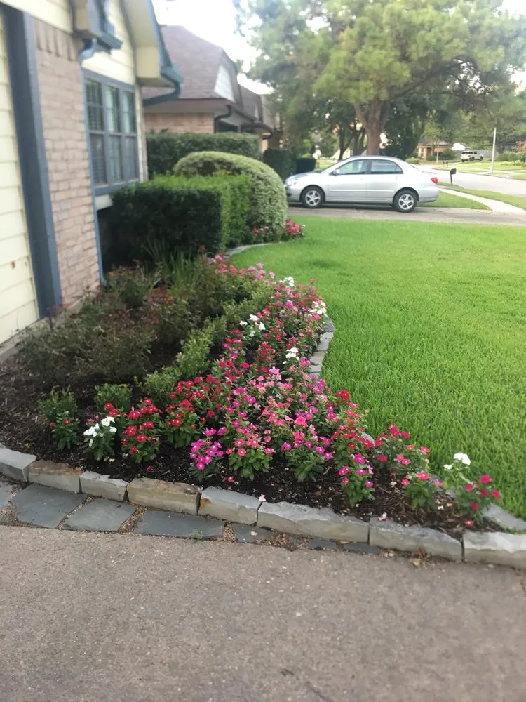 Expert landscaping services for year-round maintenance in Houston, TX by Safari Landscapes