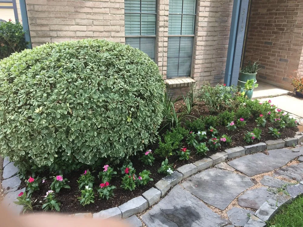 Top-rated lawn care service for beautiful yards across Houston, TX - Safari Landscapes