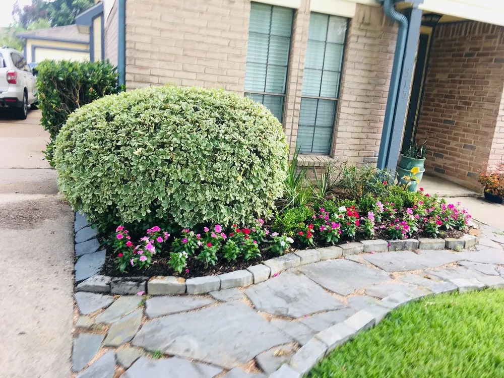 Custom landscape design in Houston, TX by Safari Landscapes