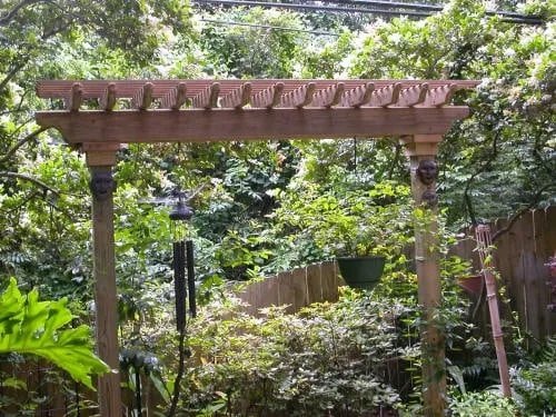 Top-rated yard maintenance for homes across Houston, TX - Safari Landscapes