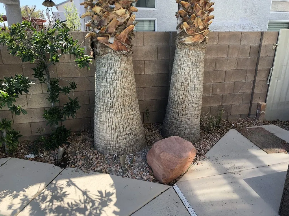 Top-rated residential landscaping in Las Vegas, NV by Safari Landscaping