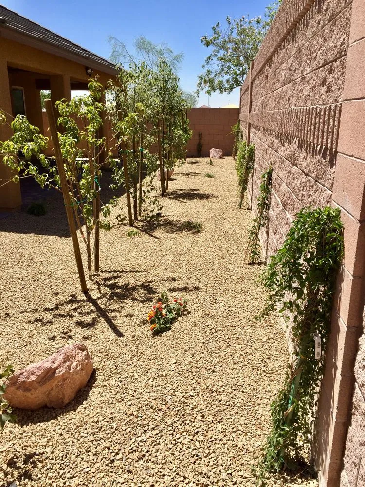 Top-rated lawn care service for homes in Las Vegas, NV by Safari Landscaping