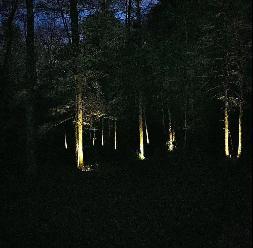 Local yard maintenance with custom design across Cookeville, TN - Safari Lawn & Landscape