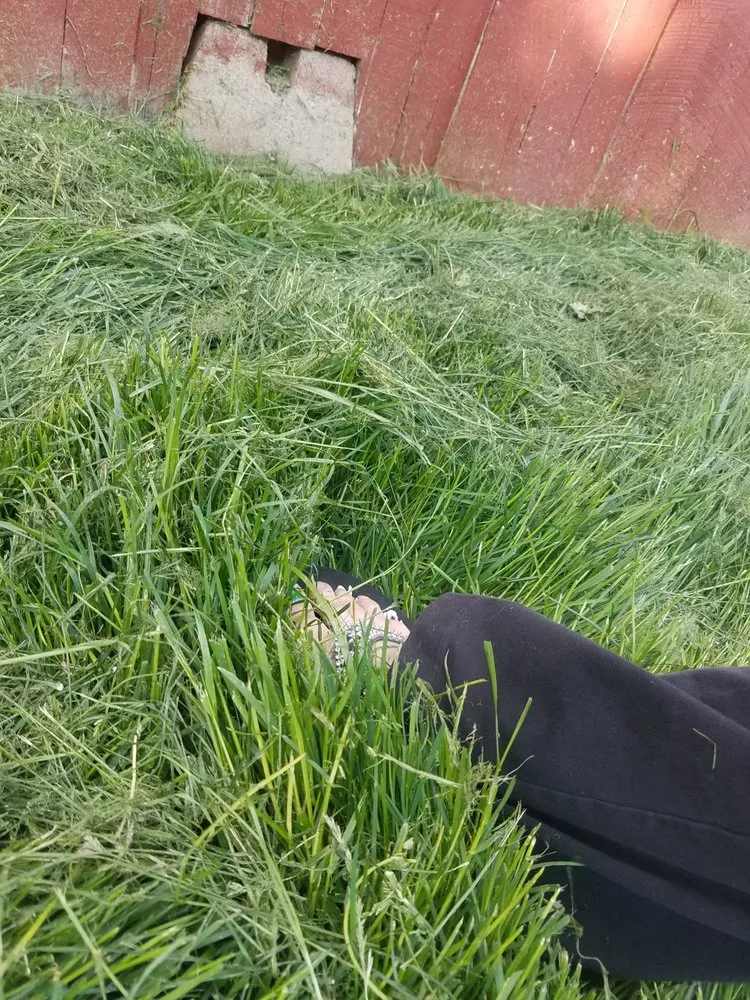 Top-rated landscaping services for year-round maintenance in Boise, ID by Safari Lawn Care