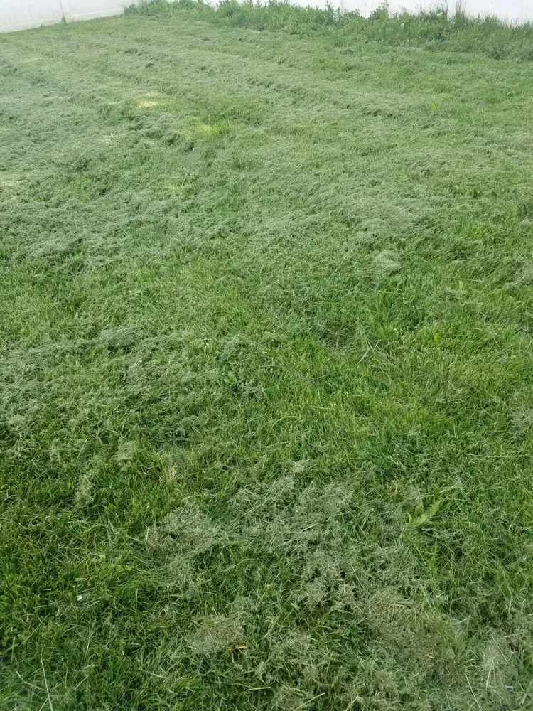 Affordable landscape installation for outdoor upgrades in Boise, ID by Safari Lawn Care