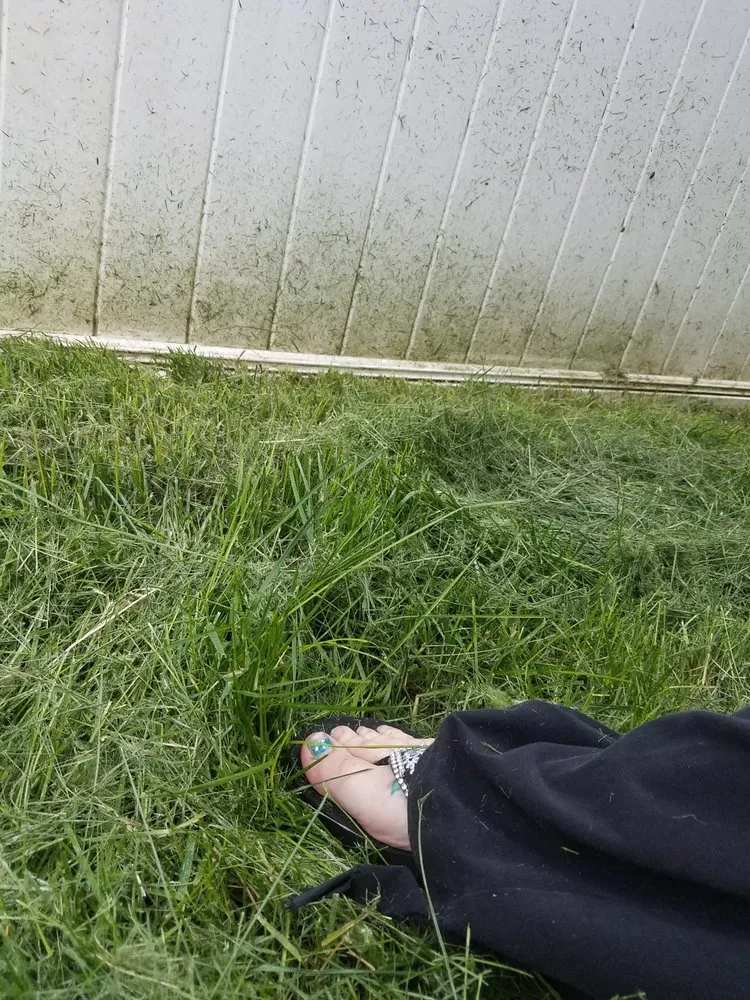 Top-rated landscape installation in Boise, ID by Safari Lawn Care