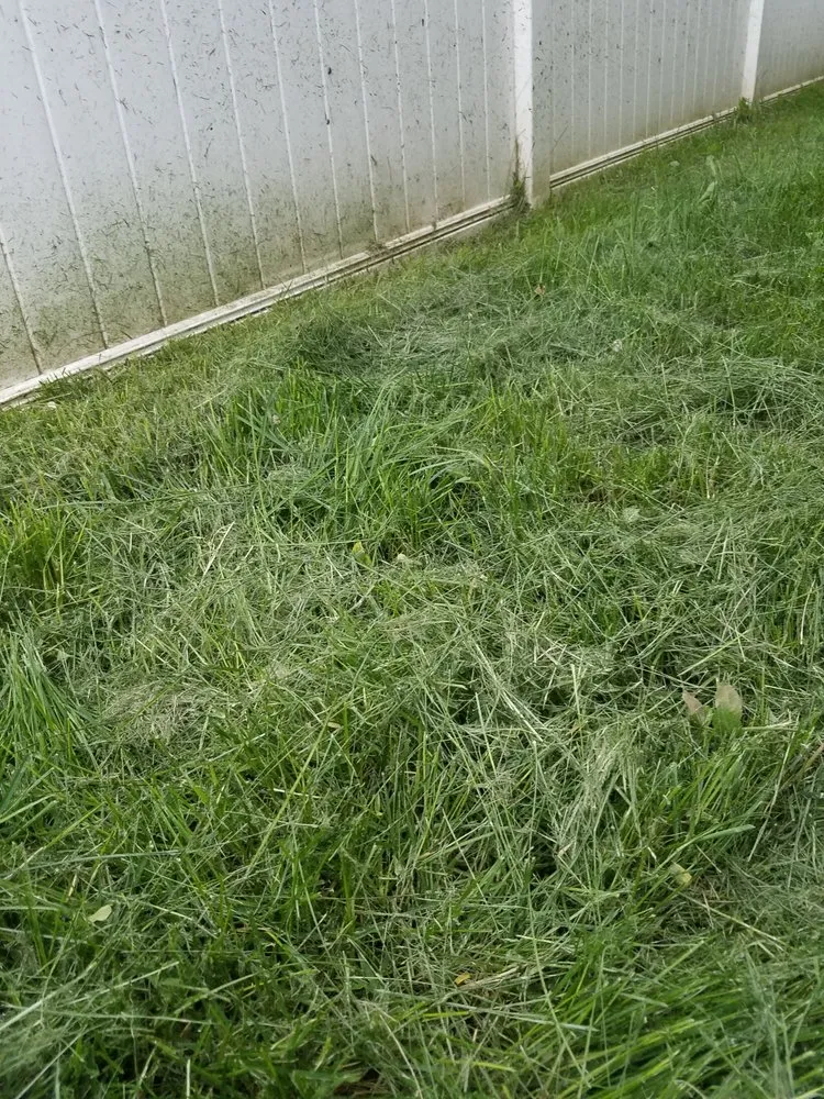 Affordable residential landscaping in Boise, ID by Safari Lawn Care