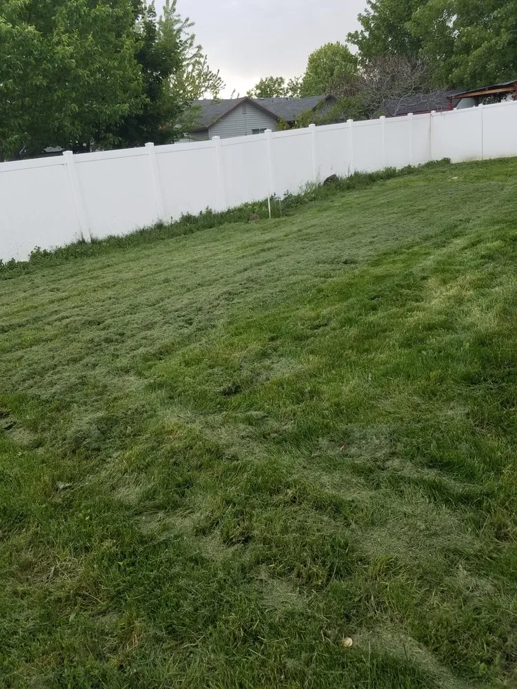 Expert yard maintenance in Boise, ID - Safari Lawn Care