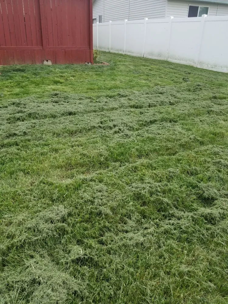 Expert lawn mowing service in Boise, ID - Safari Lawn Care