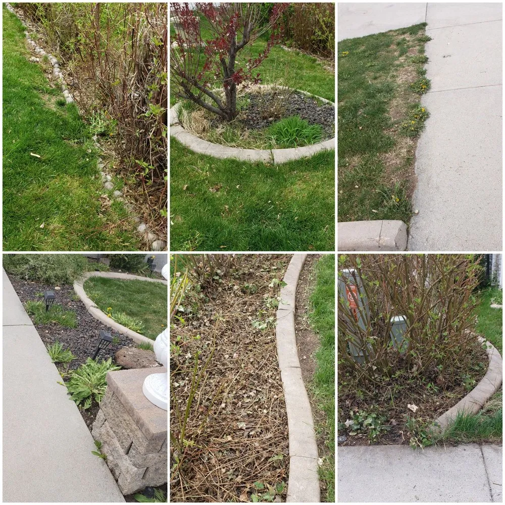 Trusted landscape design in Boise, ID by Safari Lawn Care