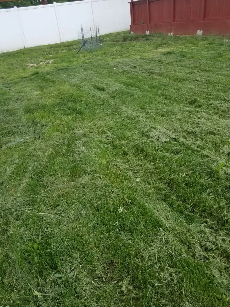 Trusted yard cleanup service experts serving Boise, ID - Safari Lawn Care