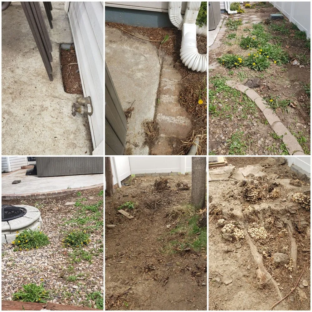 Professional landscape design for outdoor upgrades in Boise, ID by Safari Lawn Care