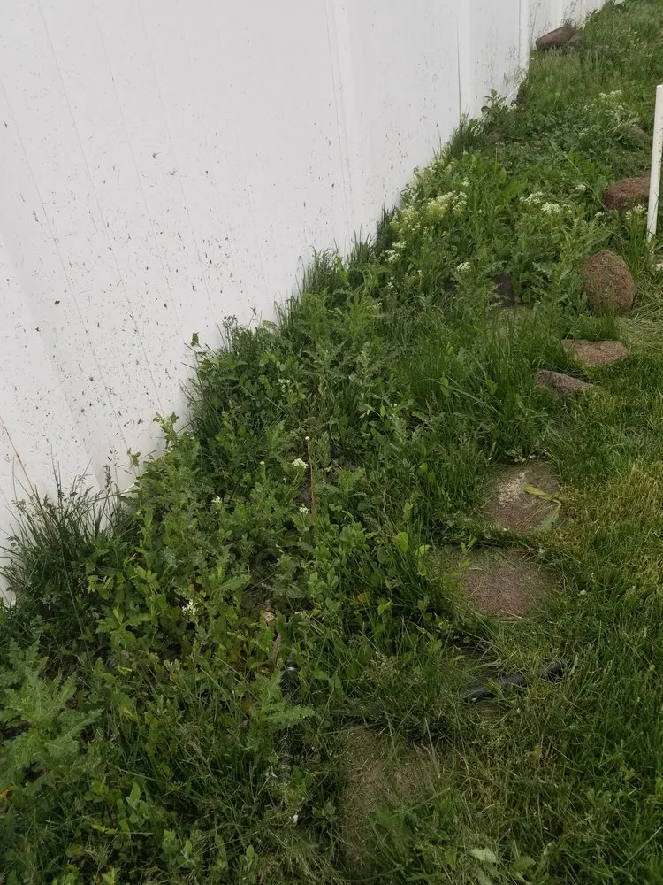 Trusted landscaping services in Boise, ID by Safari Lawn Care