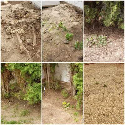 Safari Lawn Care Logo