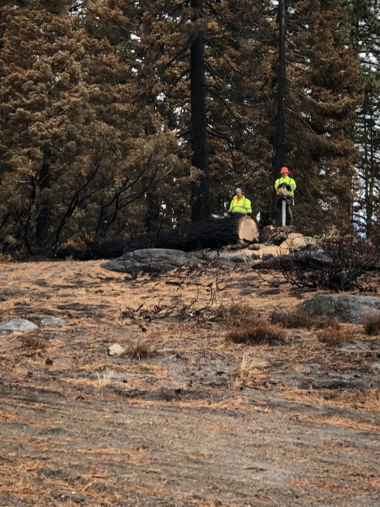 Affordable garden landscaping in Gilroy, CA - Safe & Care Tree Service