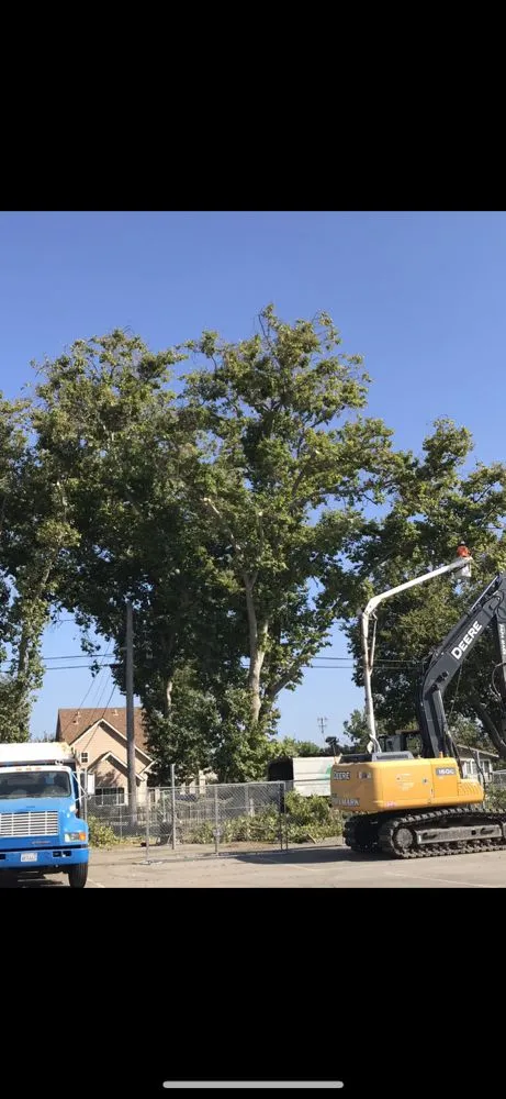 Expert landscaping services experts serving Gilroy, CA - Safe & Care Tree Service