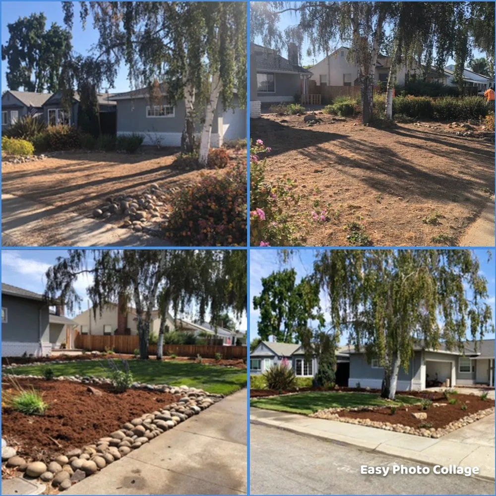 Expert landscape design experts serving Gilroy, CA - Safe & Care Tree Service