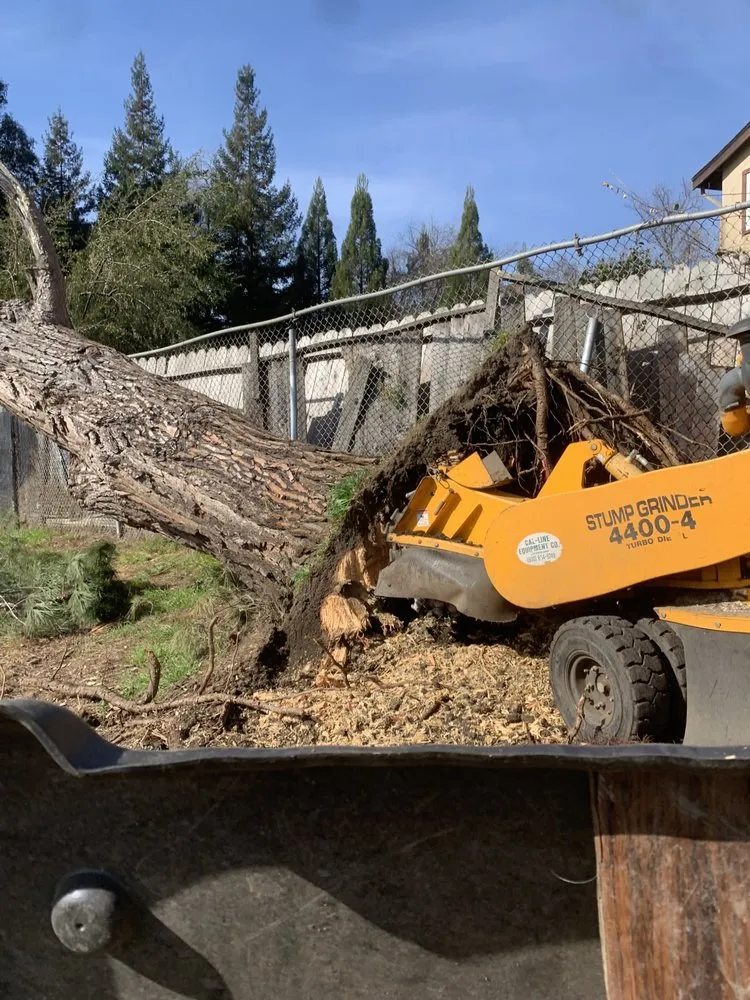 Expert lawn mowing service near you in Gilroy, CA by Safe & Care Tree Service