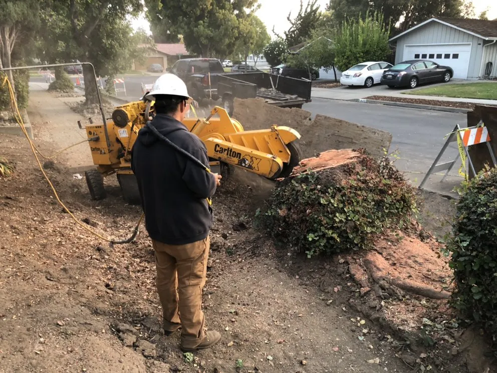 Expert lawn mowing service in Gilroy, CA by Safe & Care Tree Service