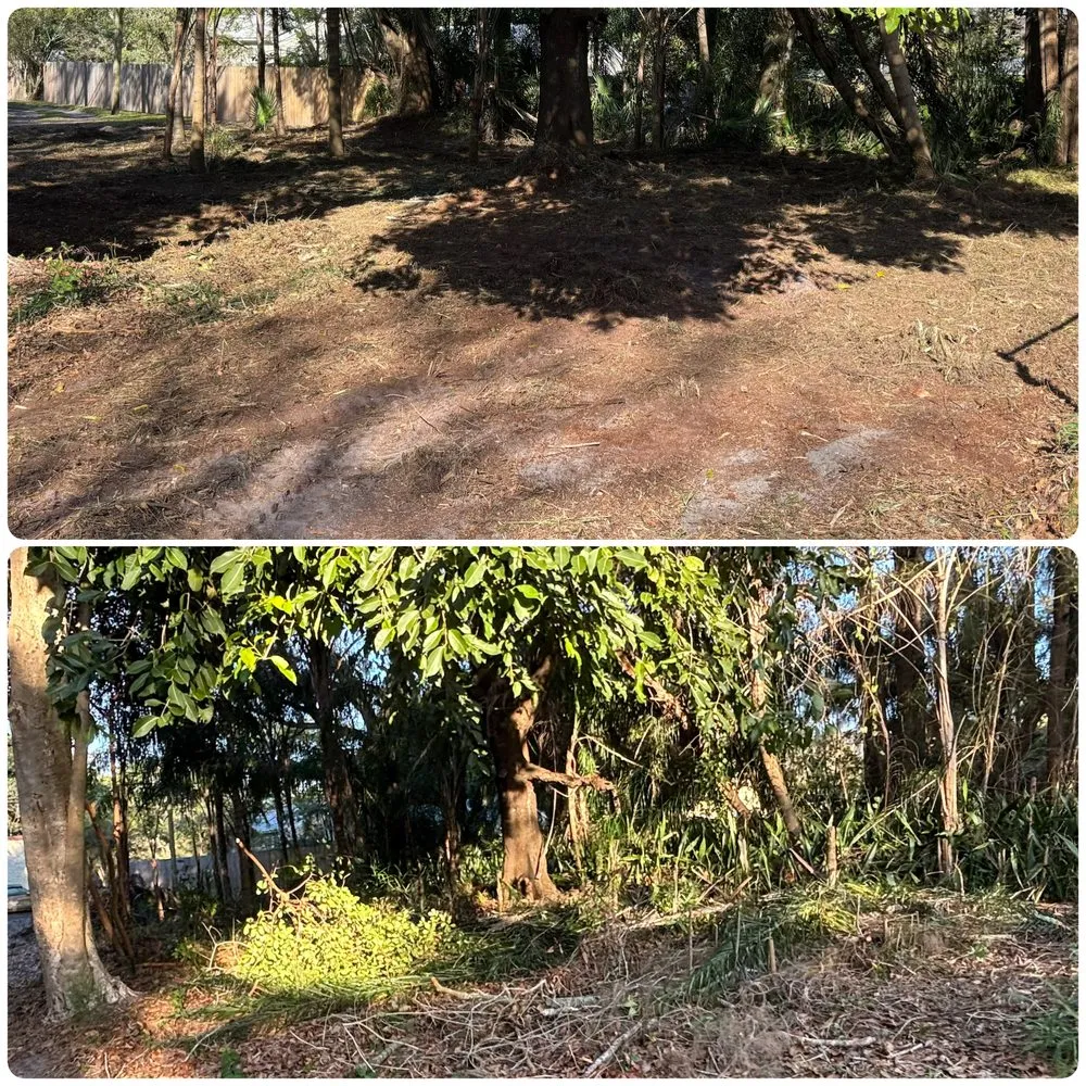 Expert yard maintenance for year-round maintenance in Fort Pierce, FL by Safe Guard Environmental