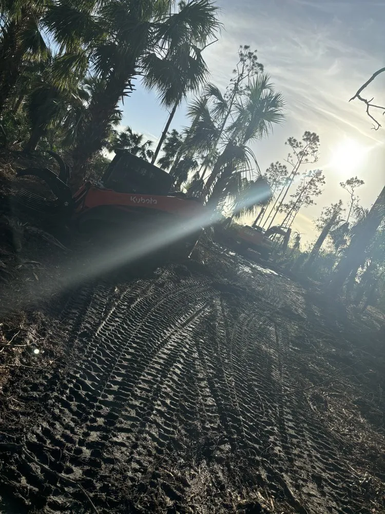 Reliable landscape design in Fort Pierce, FL - Safe Guard Environmental