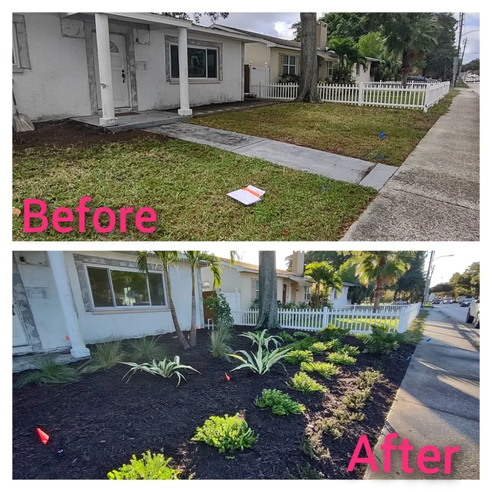 Professional residential landscaping experts serving Dunedin, FL - Safefer Landscaping