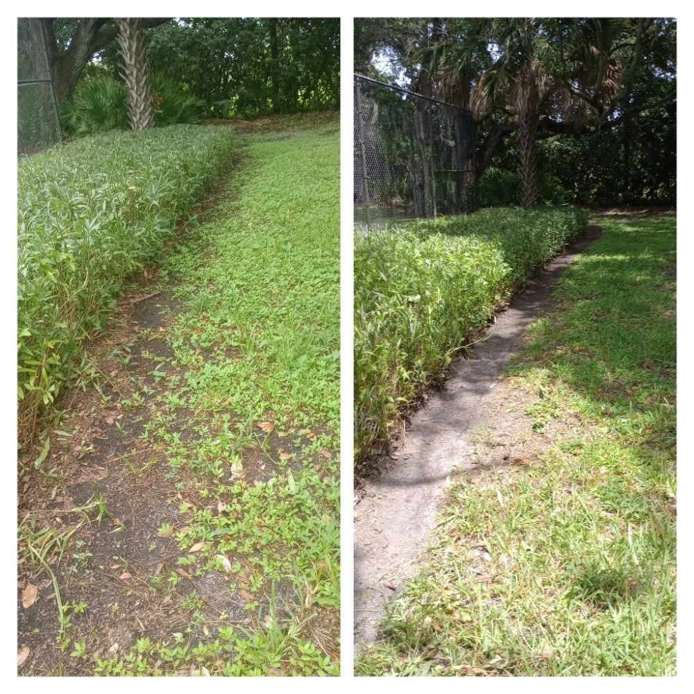 Professional landscape installation for residential properties in Dunedin, FL by Safefer Landscaping