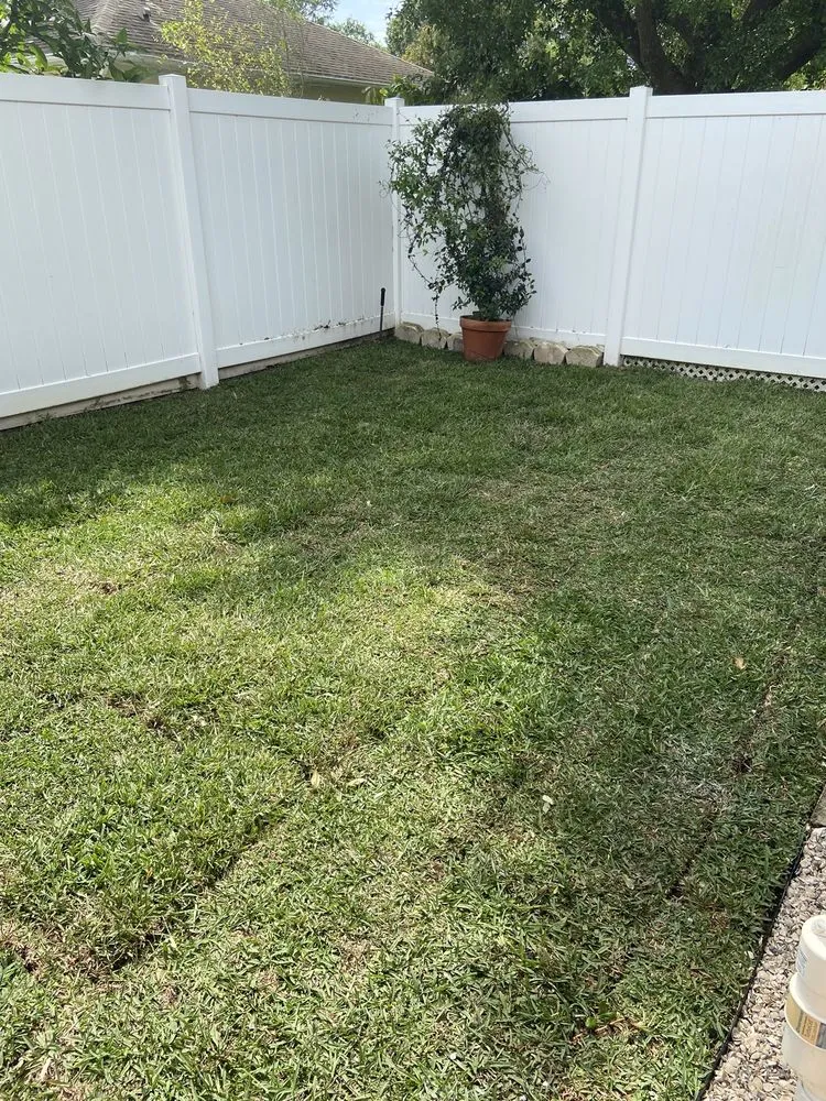 Local outdoor landscaping for year-round maintenance across Dunedin, FL - Safefer Landscaping