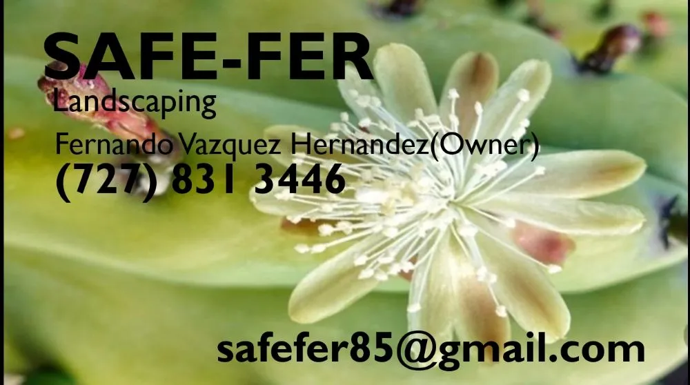 Reliable landscape installation experts serving Dunedin, FL - Safefer Landscaping