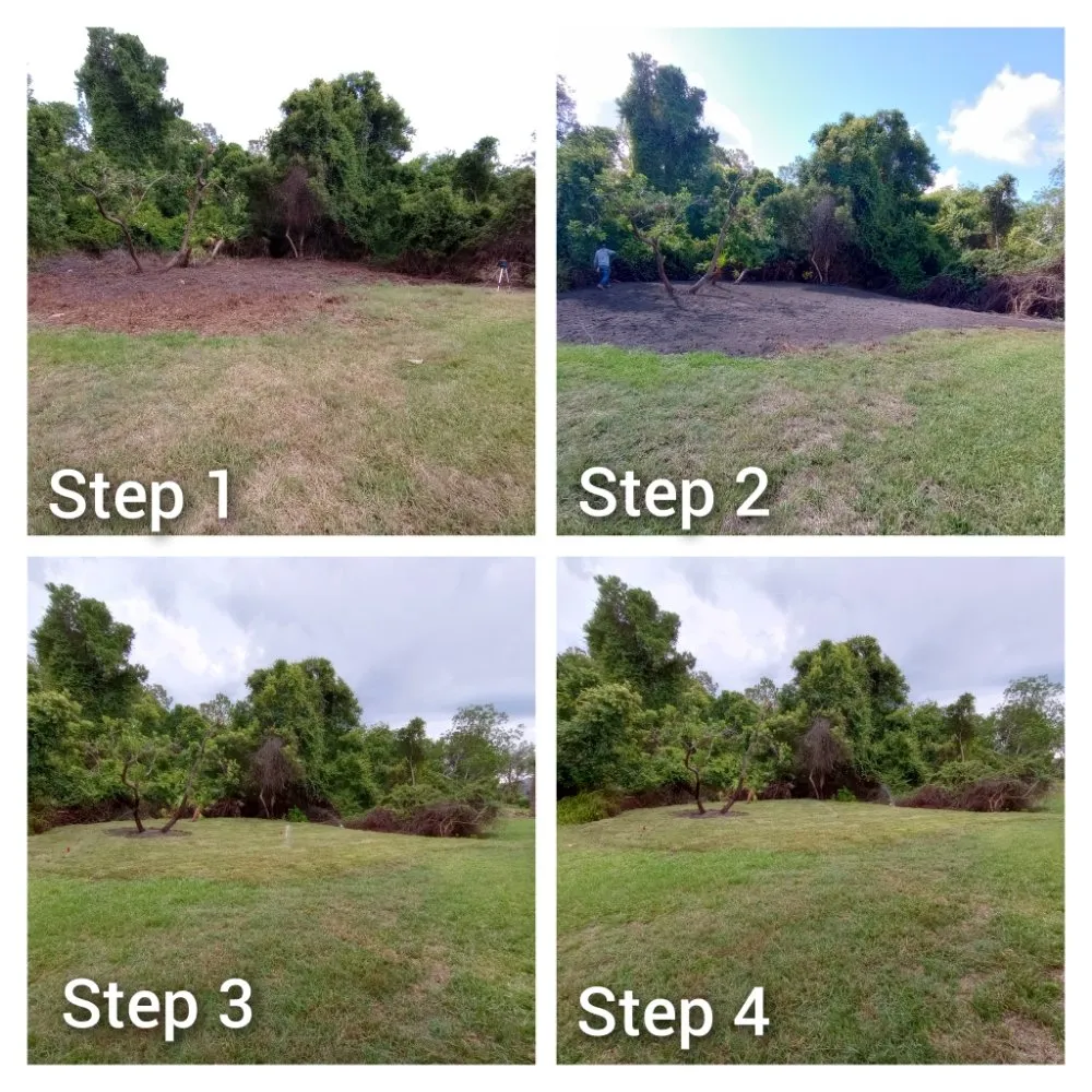 Local outdoor landscaping experts serving Dunedin, FL - Safefer Landscaping