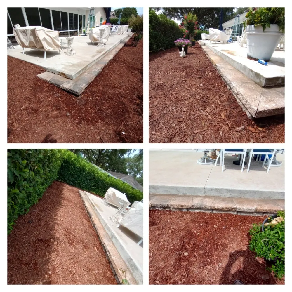 Affordable lawn mowing service in Dunedin, FL - Safefer Landscaping