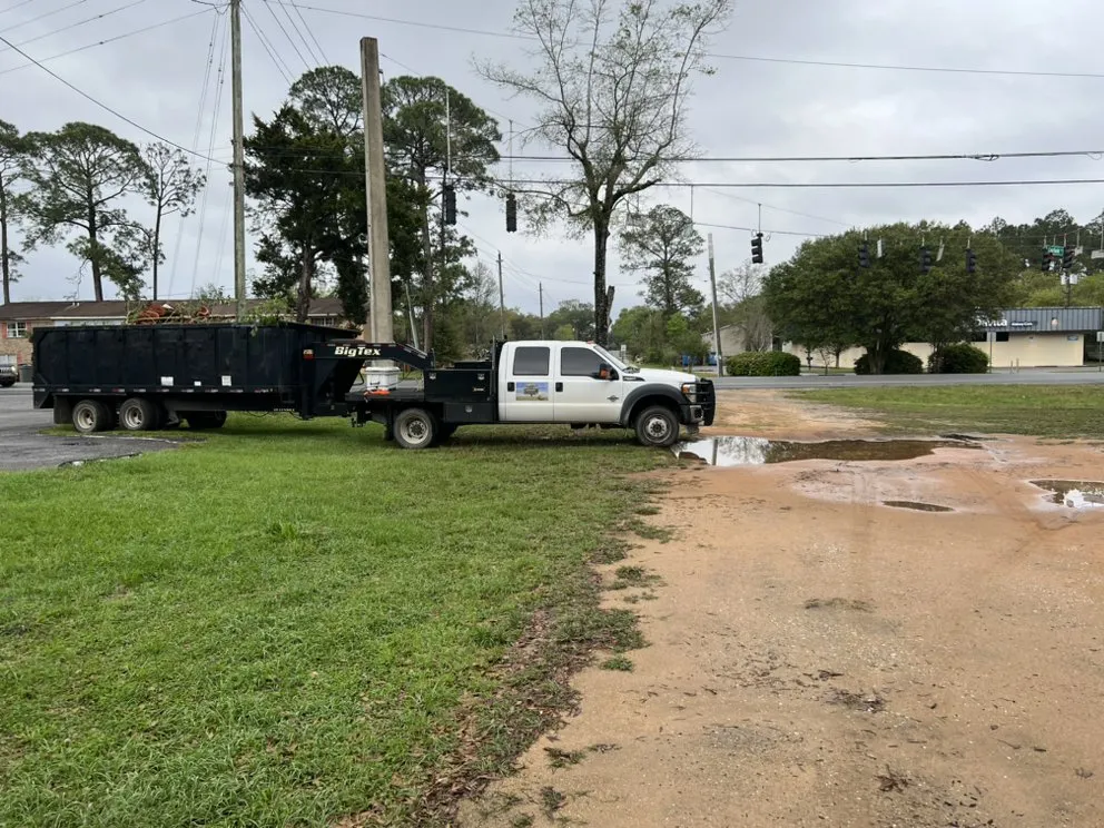 Professional yard cleanup service for year-round maintenance in Navarre, FL by saffron Lynn young