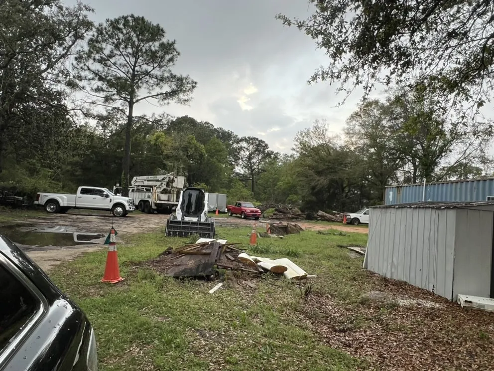 Expert yard maintenance in Navarre, FL - saffron Lynn young