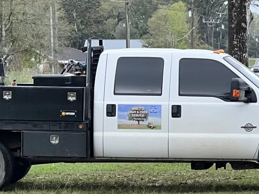 Reliable outdoor landscaping in Navarre, FL by saffron Lynn young
