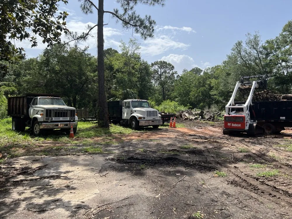 Trusted lawn care service in Navarre, FL by saffron Lynn young